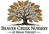 Beaver Creek Nursery at Briar Thicket
