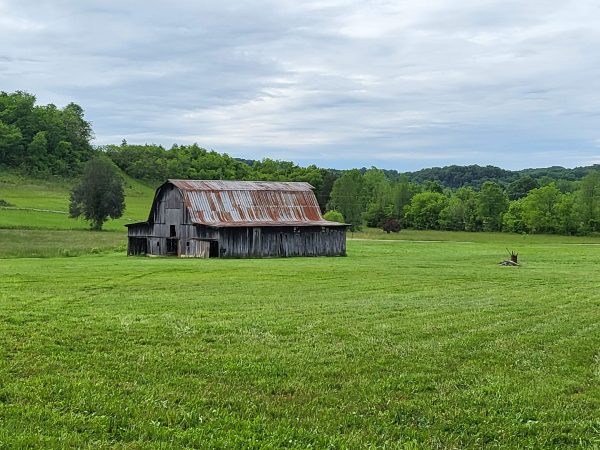 Old Barn
